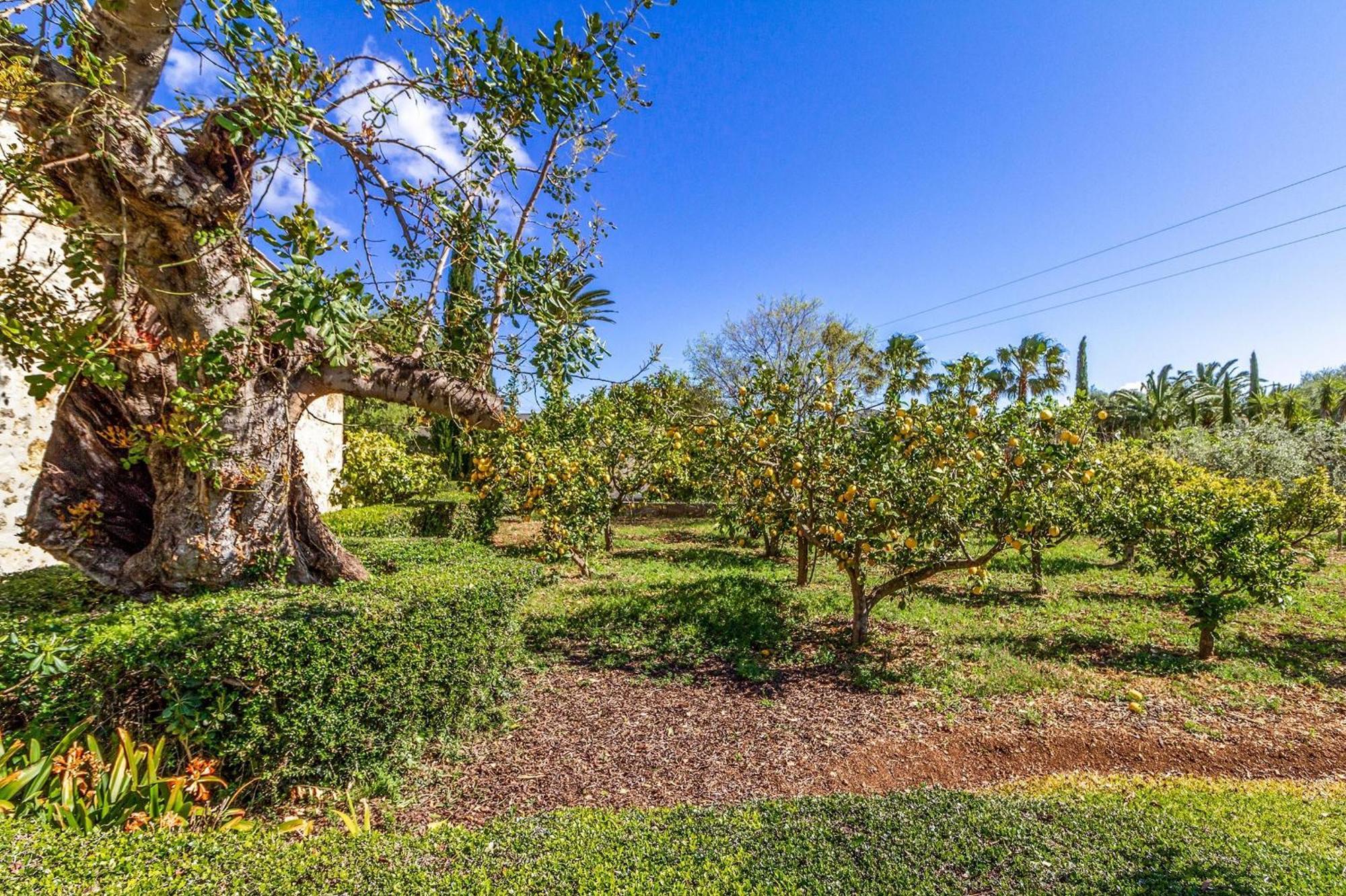 Villa Martorell Pollensa Mallorca